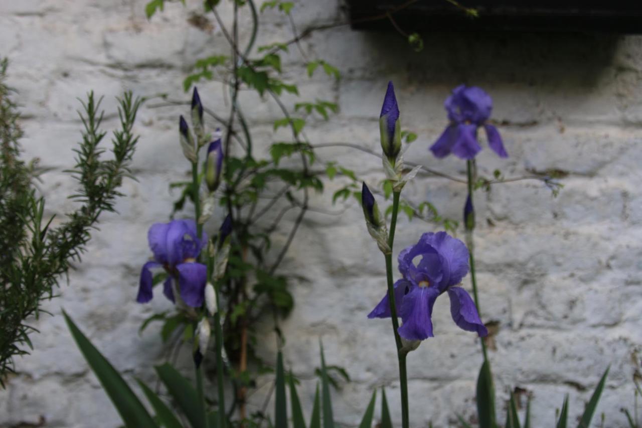 B&B Les Iris Брюссель Экстерьер фото
